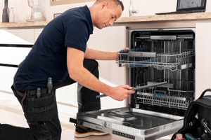 Bulaşık Makinesi Servisi